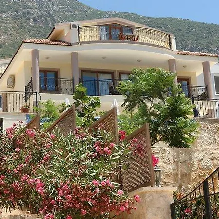 Villa Alternatif